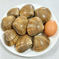 Large Wenbei Clams